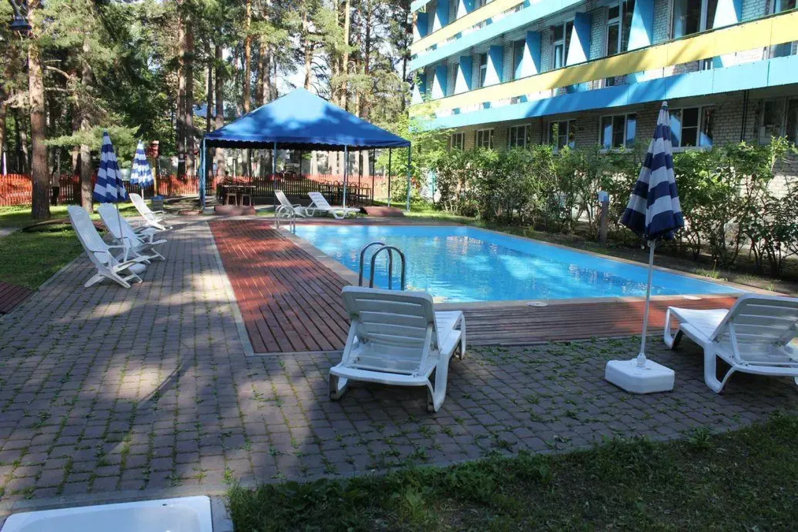 Лесные Дали