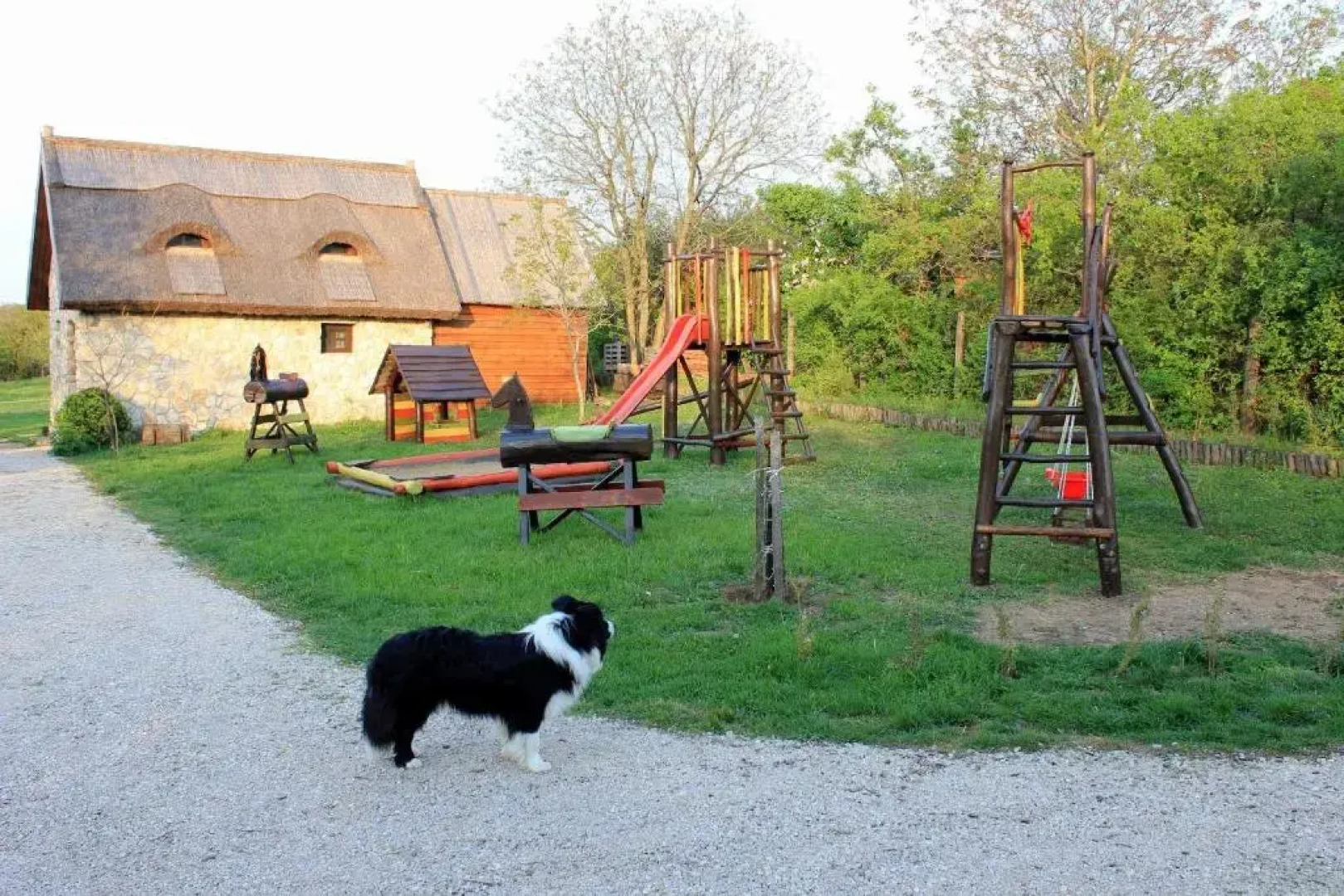 Dióliget - Zöld Dió Házikó