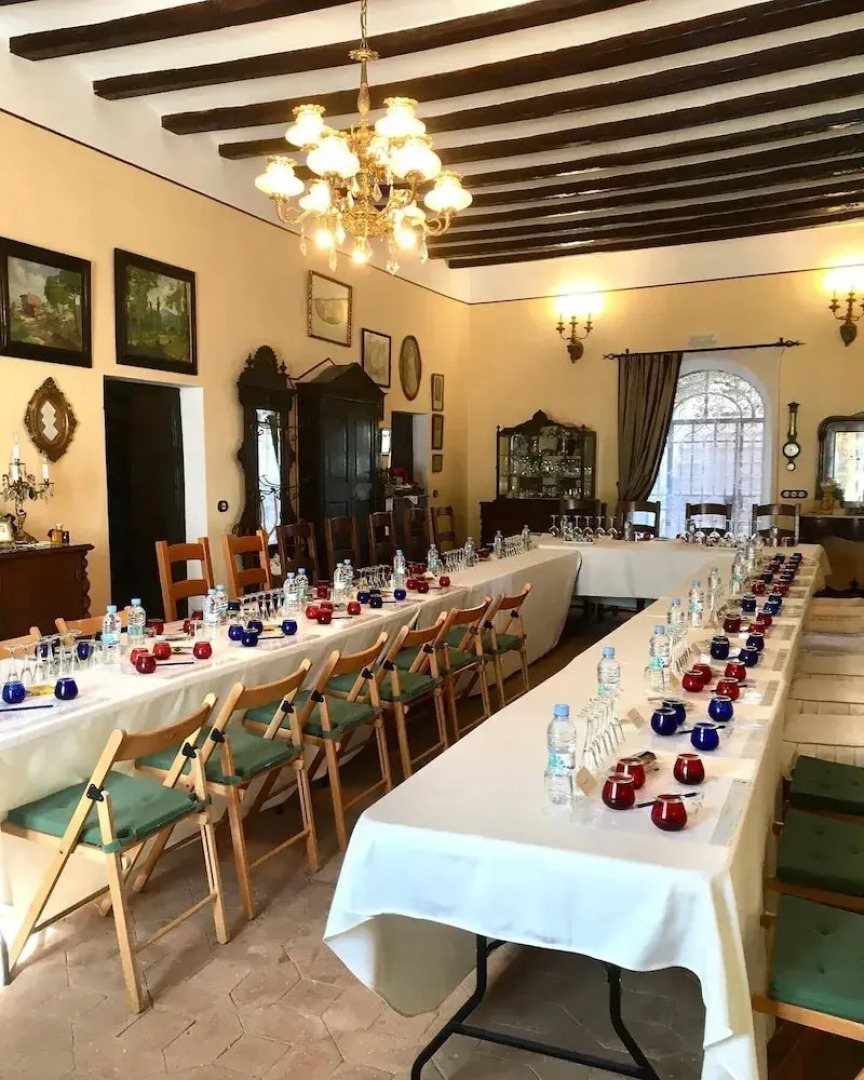 Masia Can Viver - Olive oil tourism B&B
