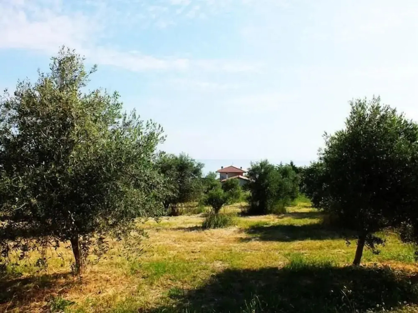 Agr. La Casa Della Lavanda - Il Rustico