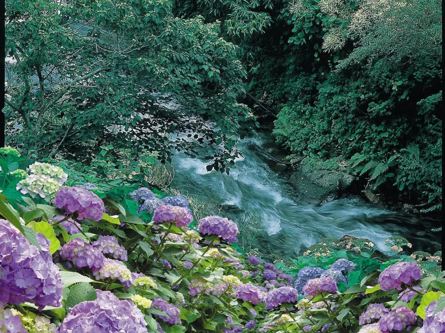 Ukiha Bekkan Shinshiyo