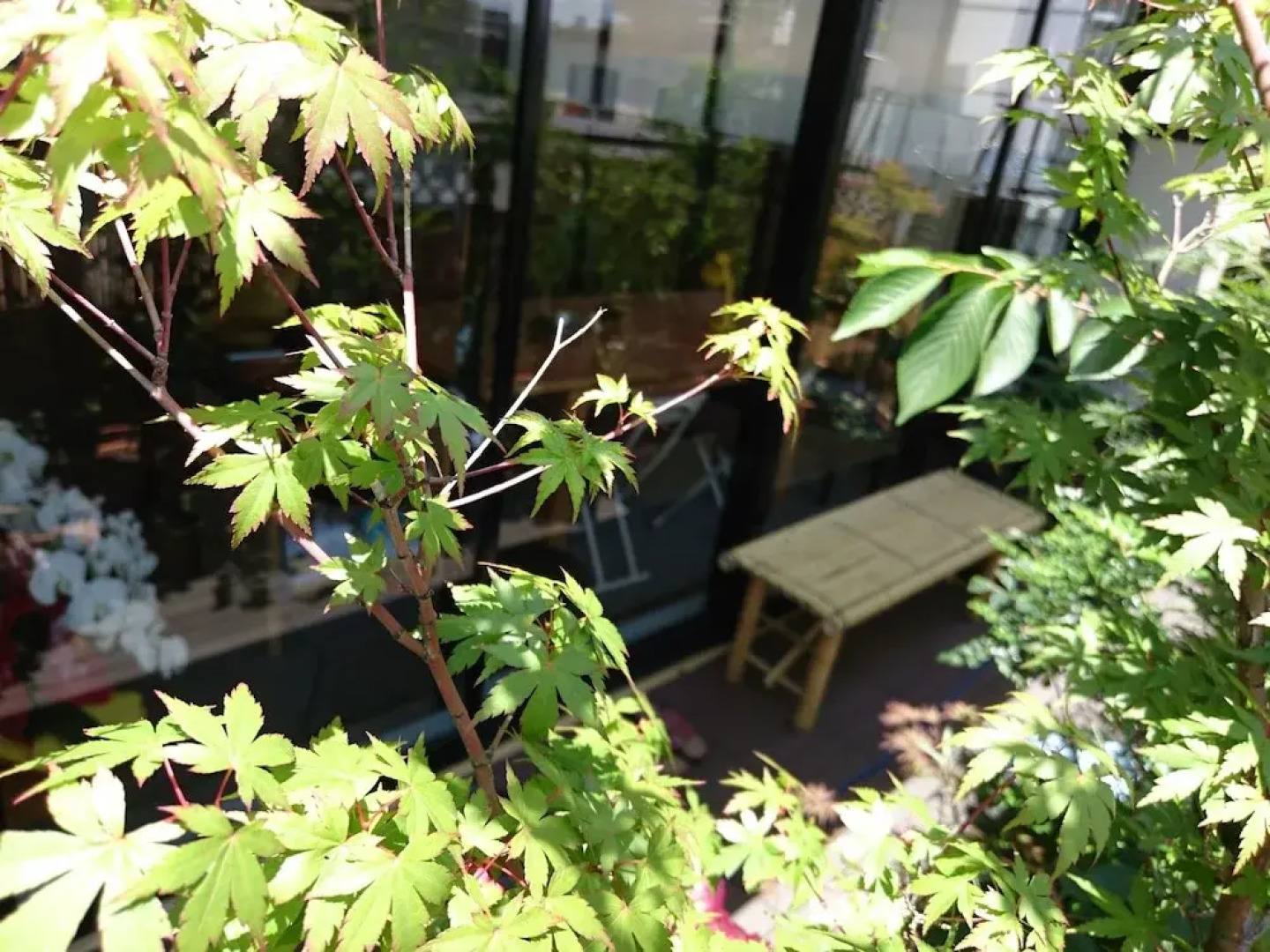 sakura la an - Hostel