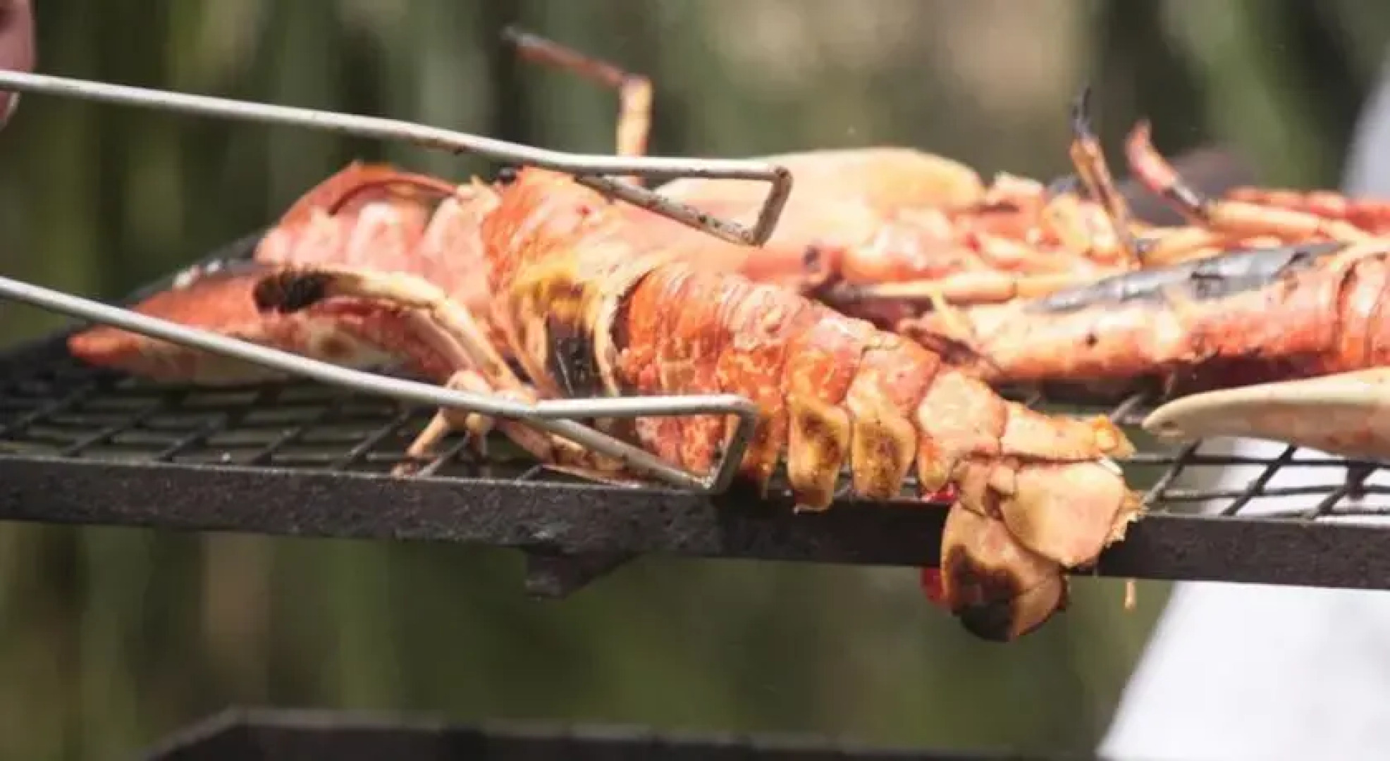 Domaine de la Bourie