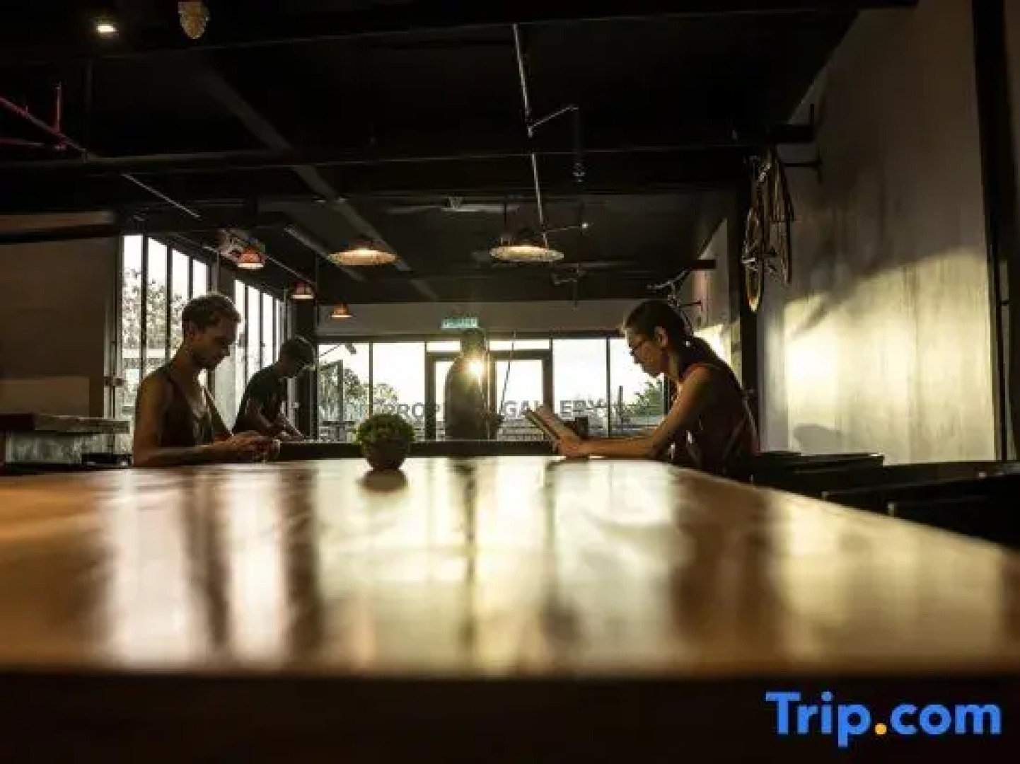 Bed Attitude Hostel Cenang