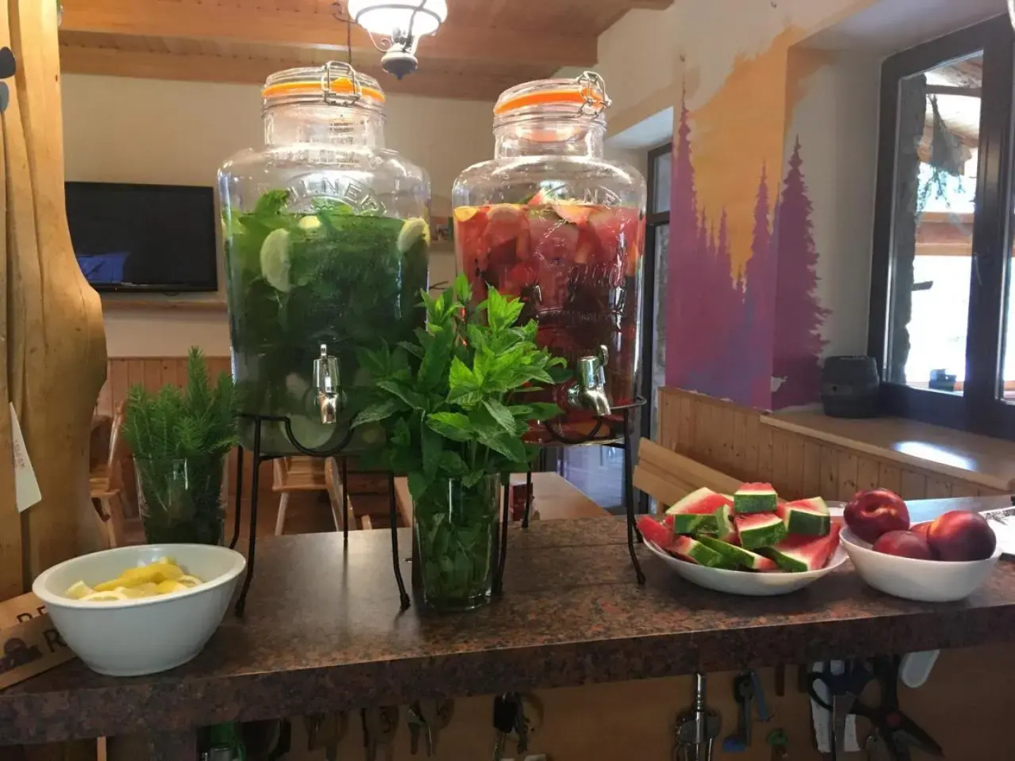 Eko - Farma Orlí vrch