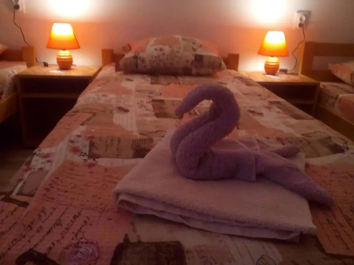 Guest House Vila Banjica