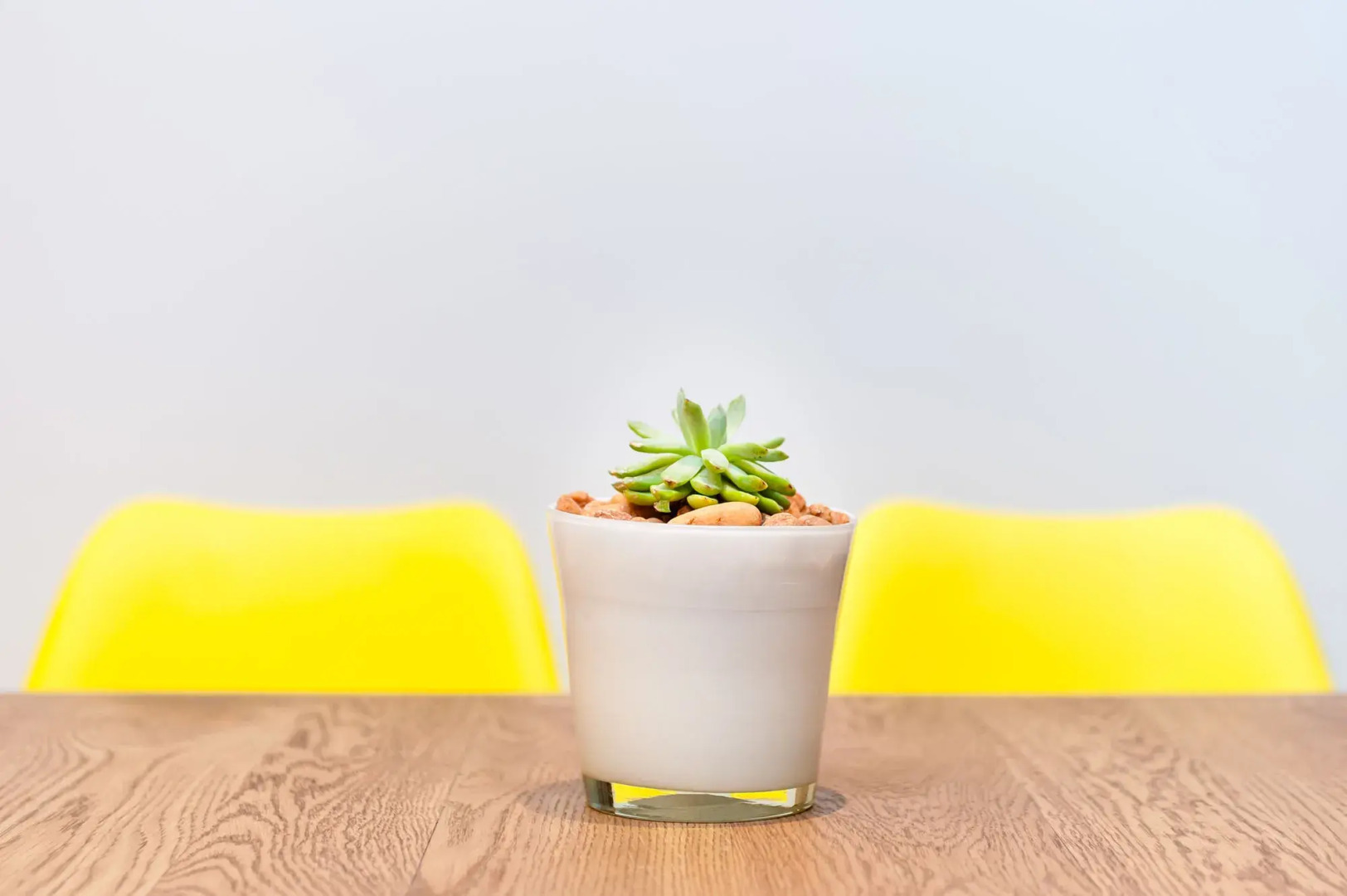 107 Dorpstraat Boutique Hotel