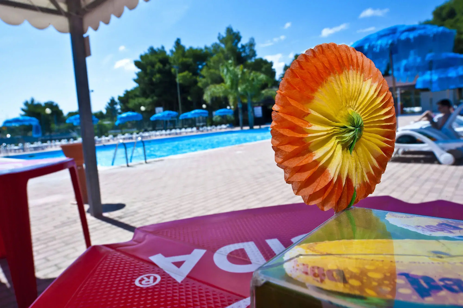 Villaggio Le Diomedee