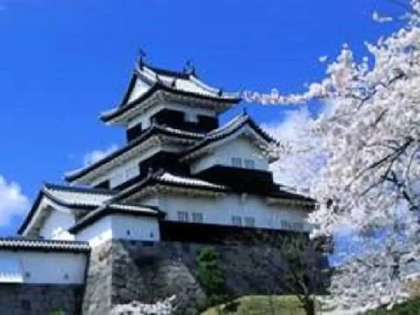 Smile Hotel Shirakawa