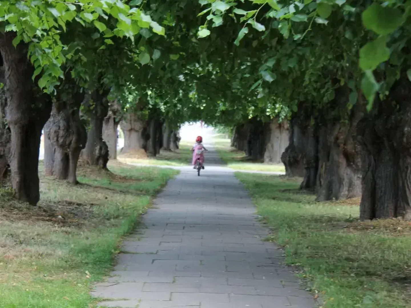 Modern Bungalow in Warnkenhagen Near Wellness