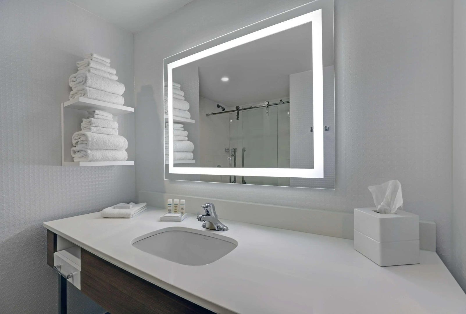 Hampton Inn & Suites Belleville