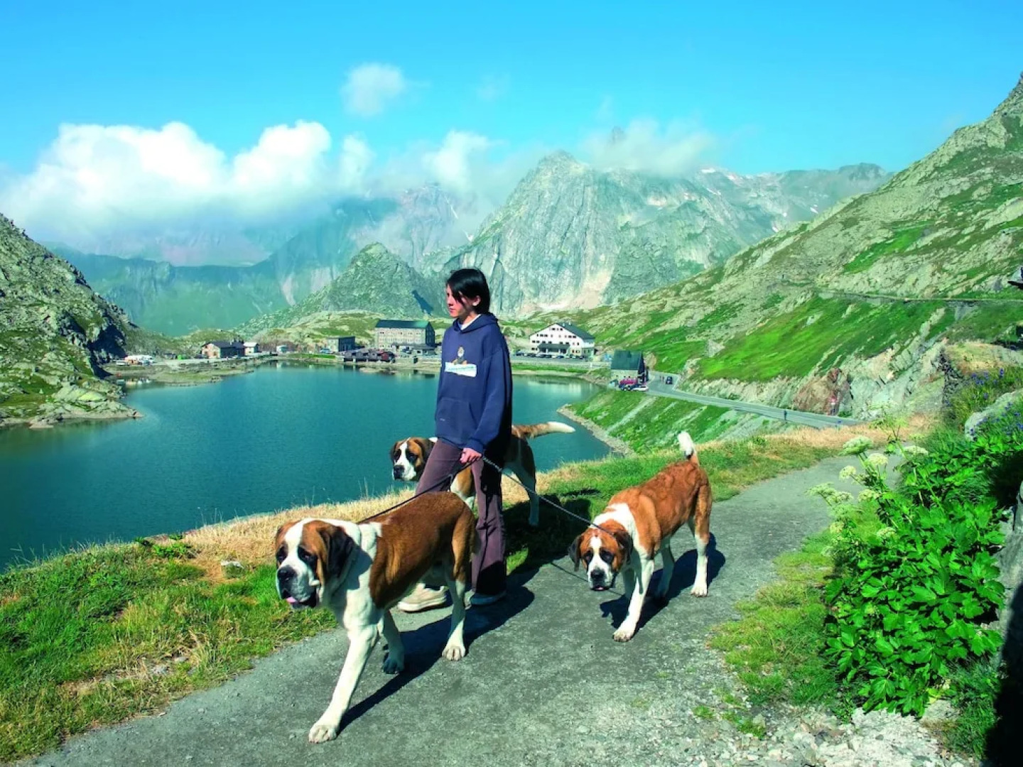 Quaint Chalet in Les Collons with Hot Tub