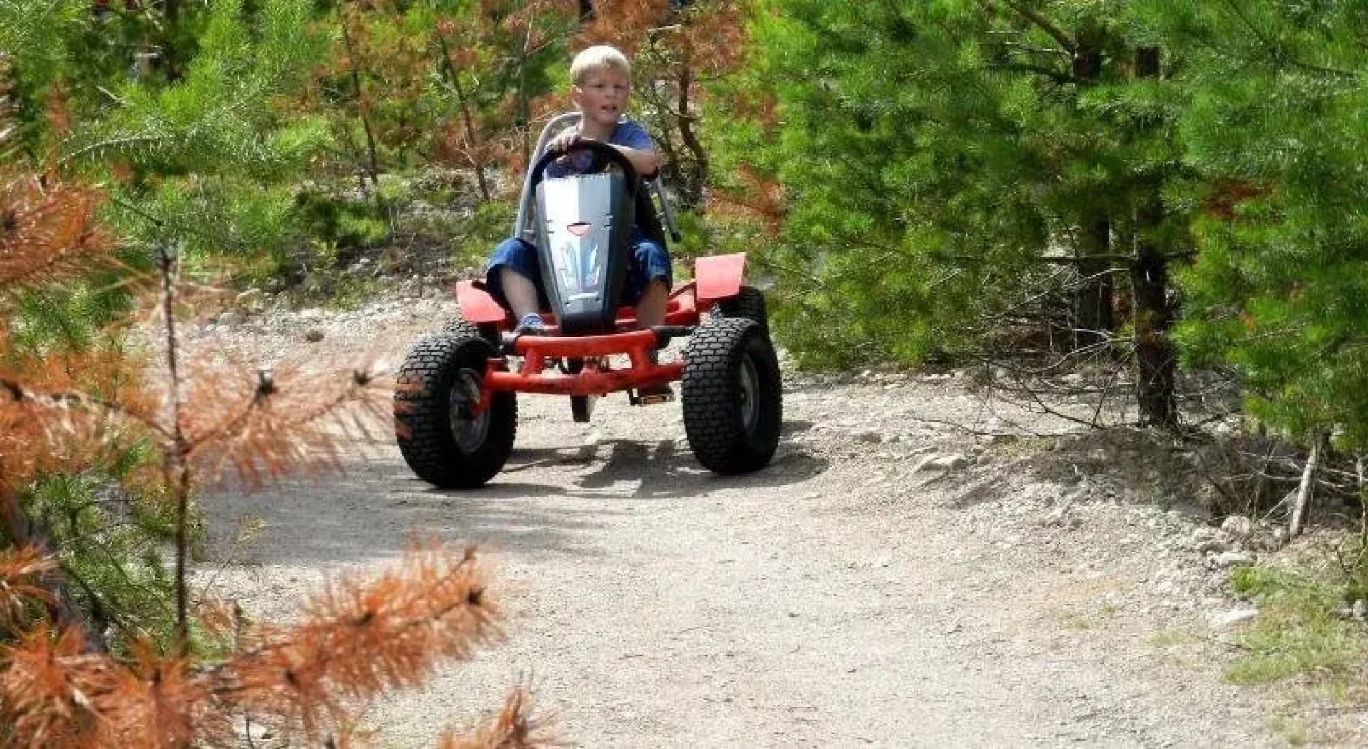 Nils Holgerssons Värld