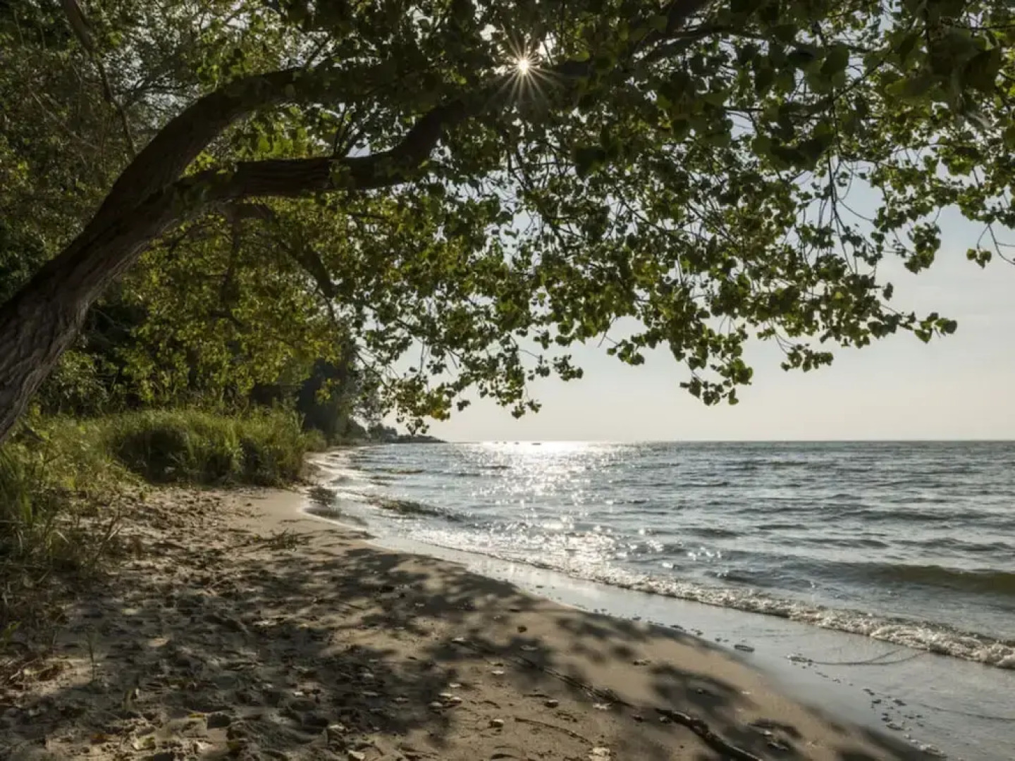 Time out on the Lagoon Modern Retreat