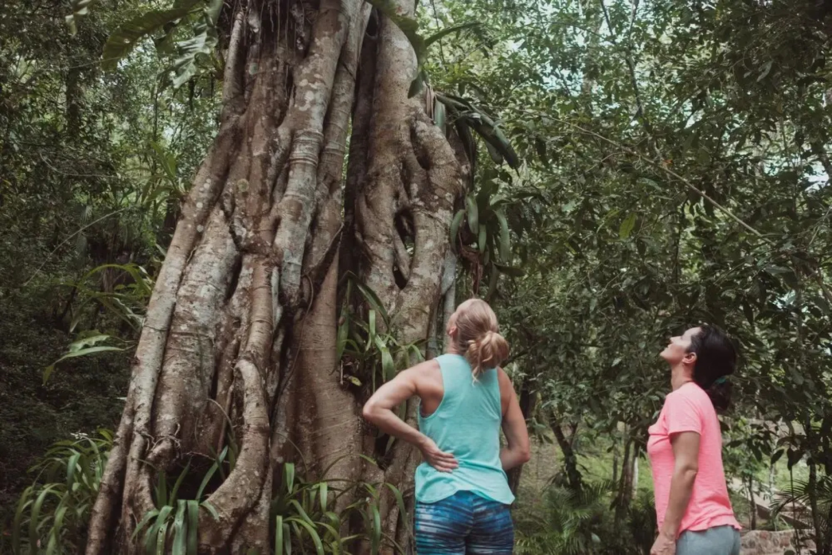 Equilibrium Healing Resort