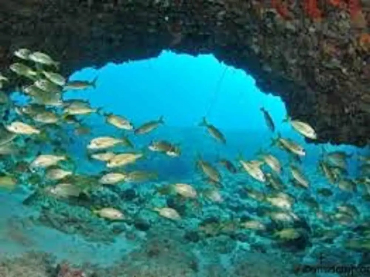 Apartment With 2 Bedrooms in Bouillante, With Wonderful sea View, Furn