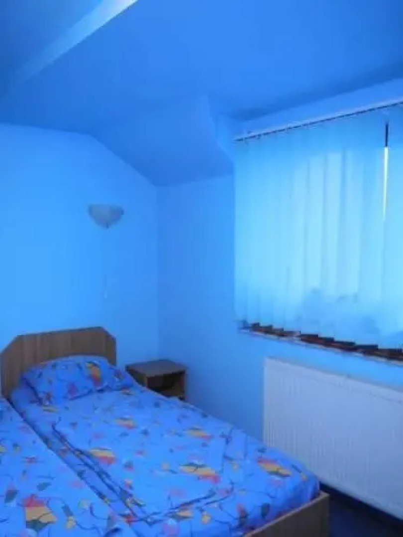 Pensiunea Floare de Colt