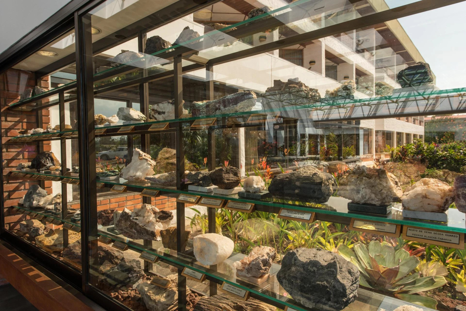 Hotel Bougainvillea San José