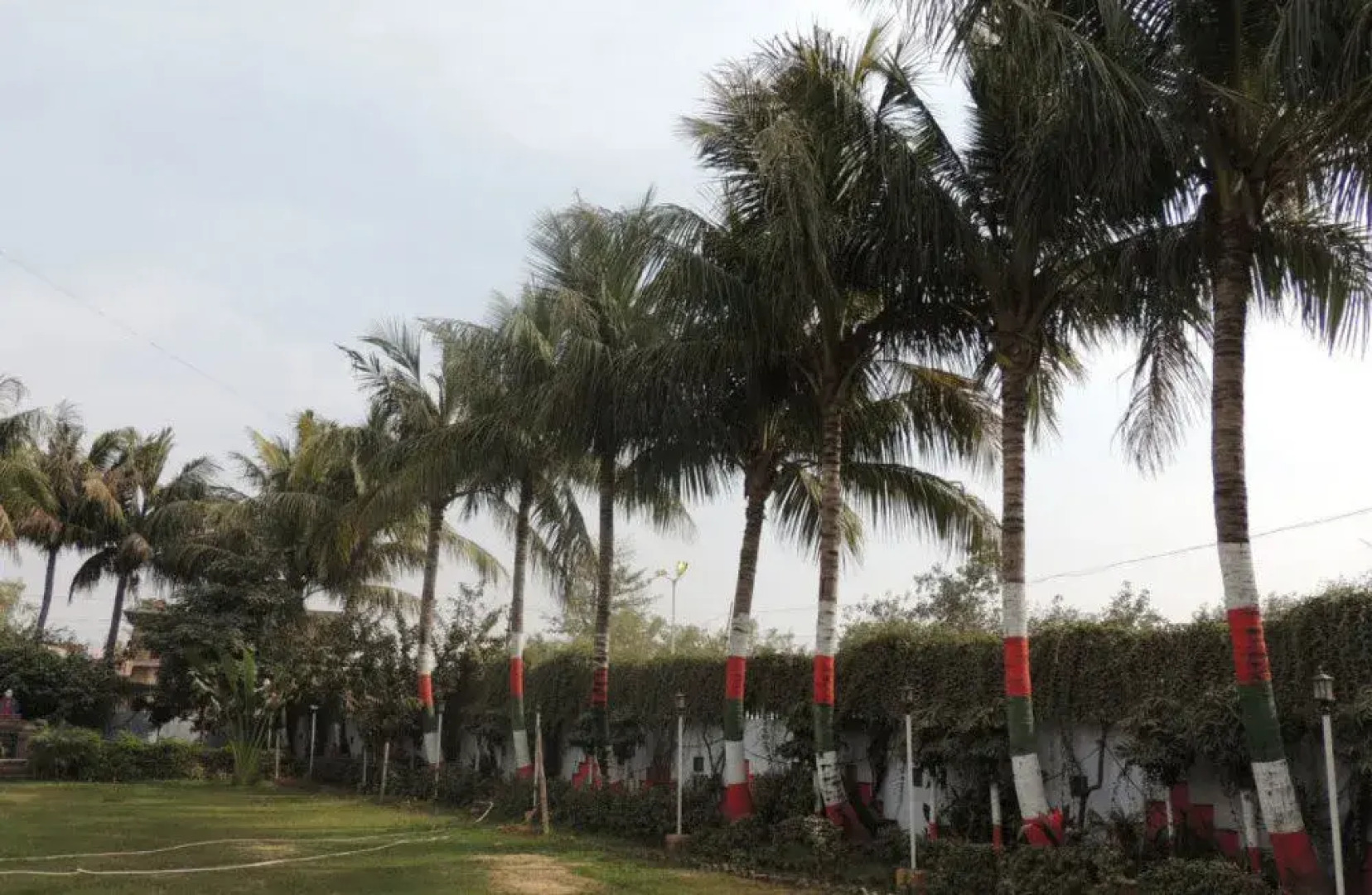 Hotel Buddha International