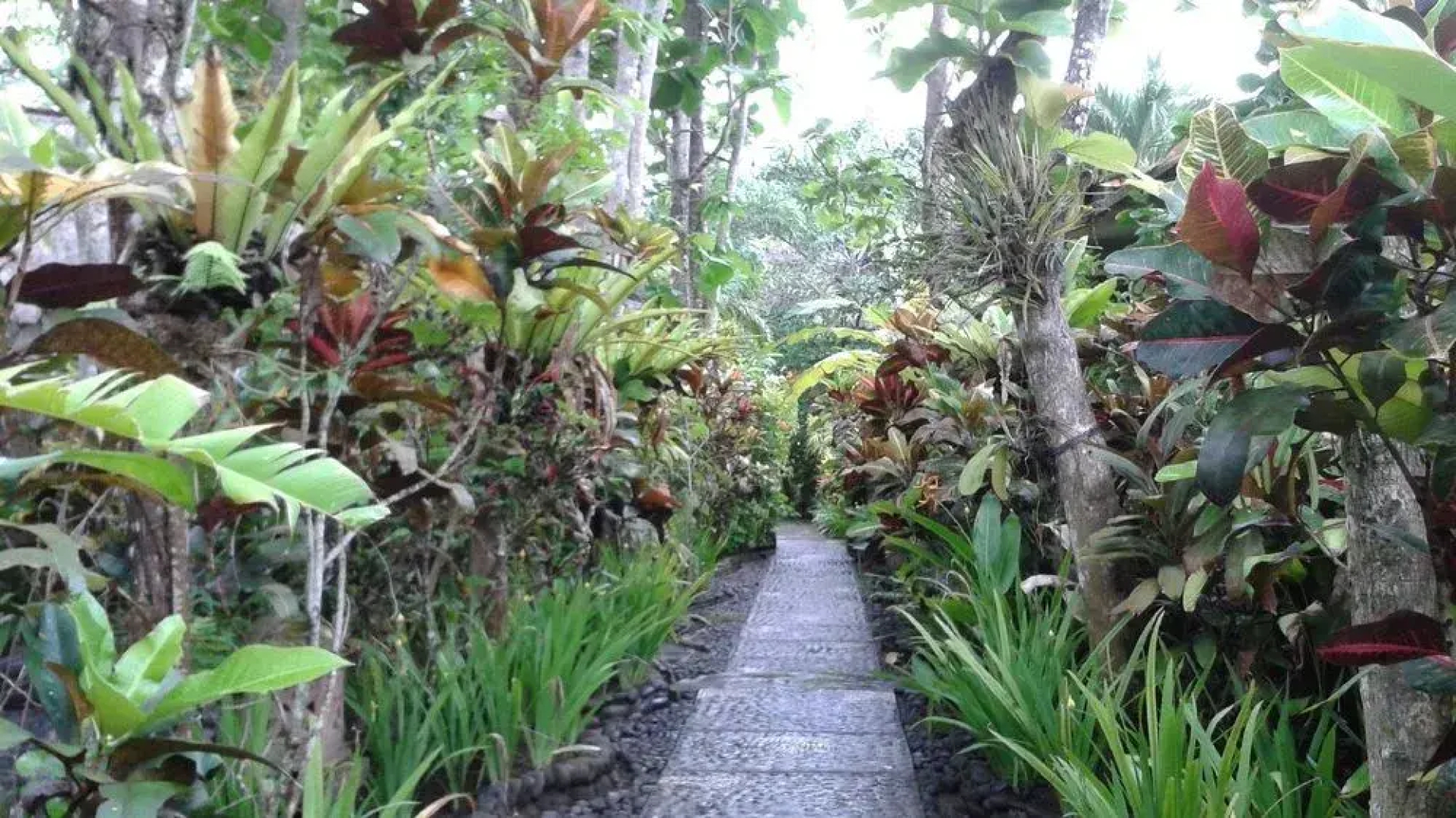 Pondok Pisces Bungalows