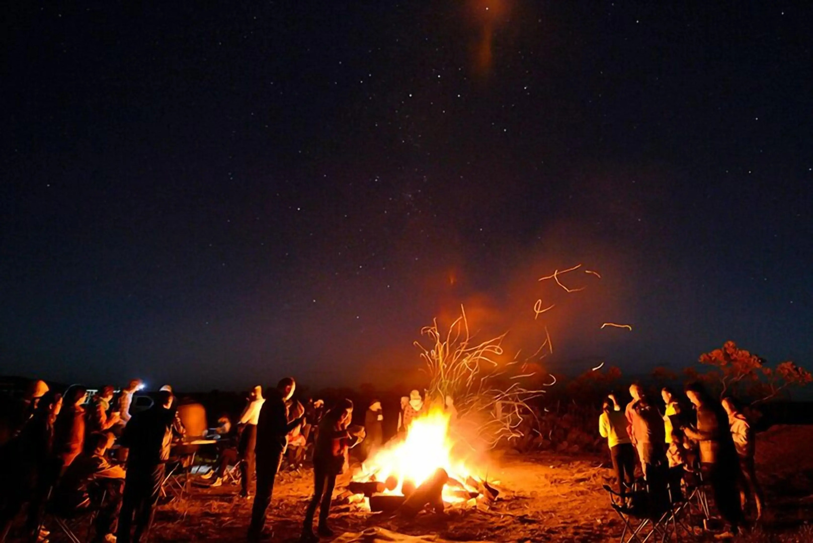 Wavecrest Village & Tourist Park