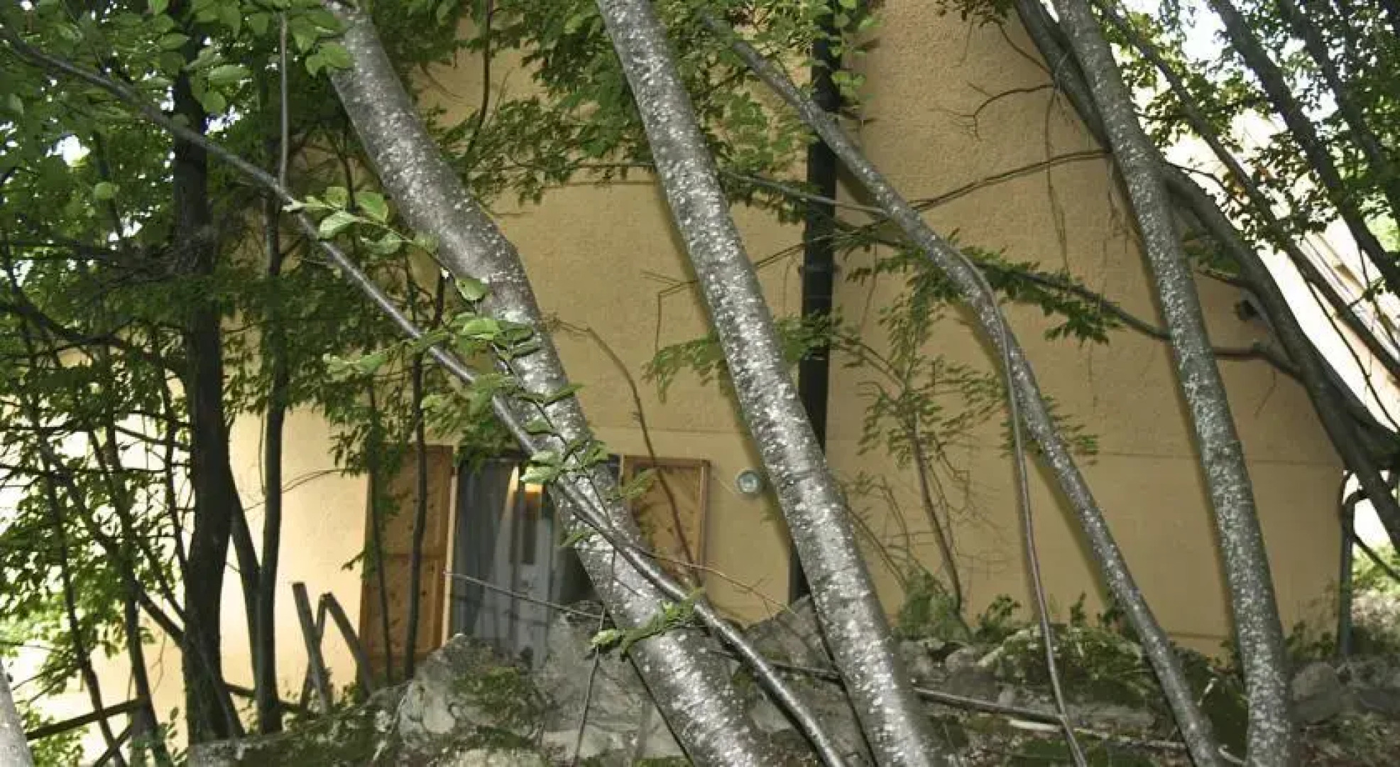 Casa Vacanze Monte Pincio