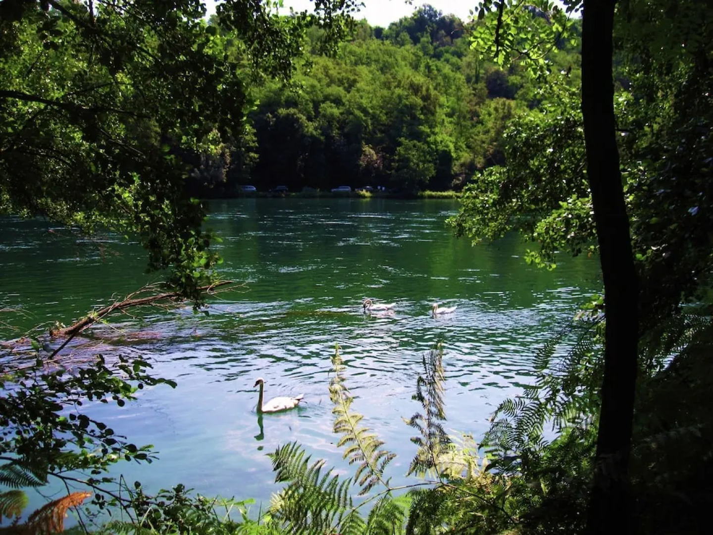 Comfortable Cottage in Castelletto Sopra Ticino Near River