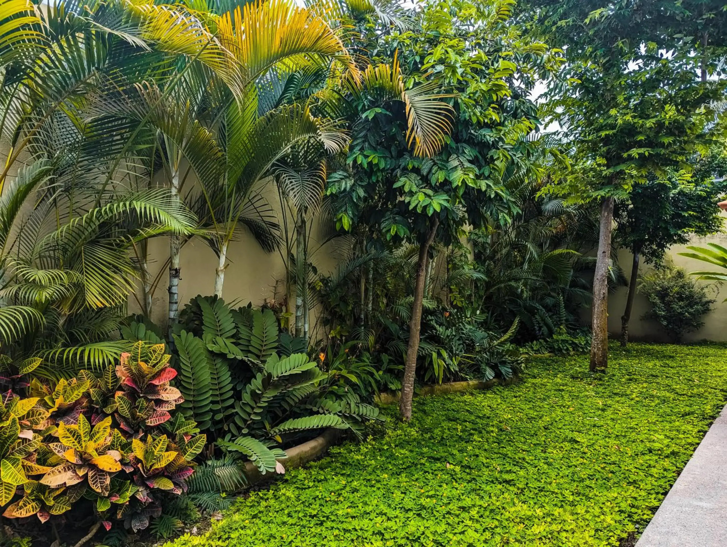 Departamento los gallos ,en planta baja