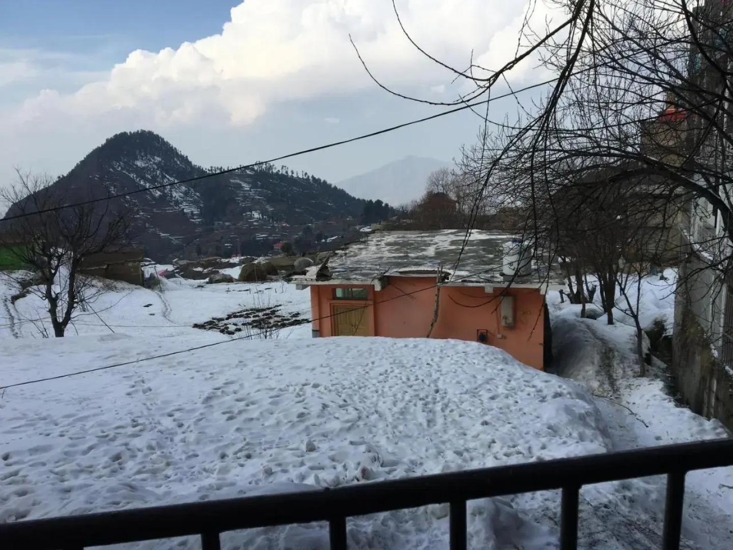 Peace Continental Malamjabba