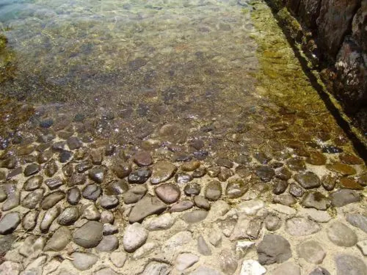 Apartments Mitrović