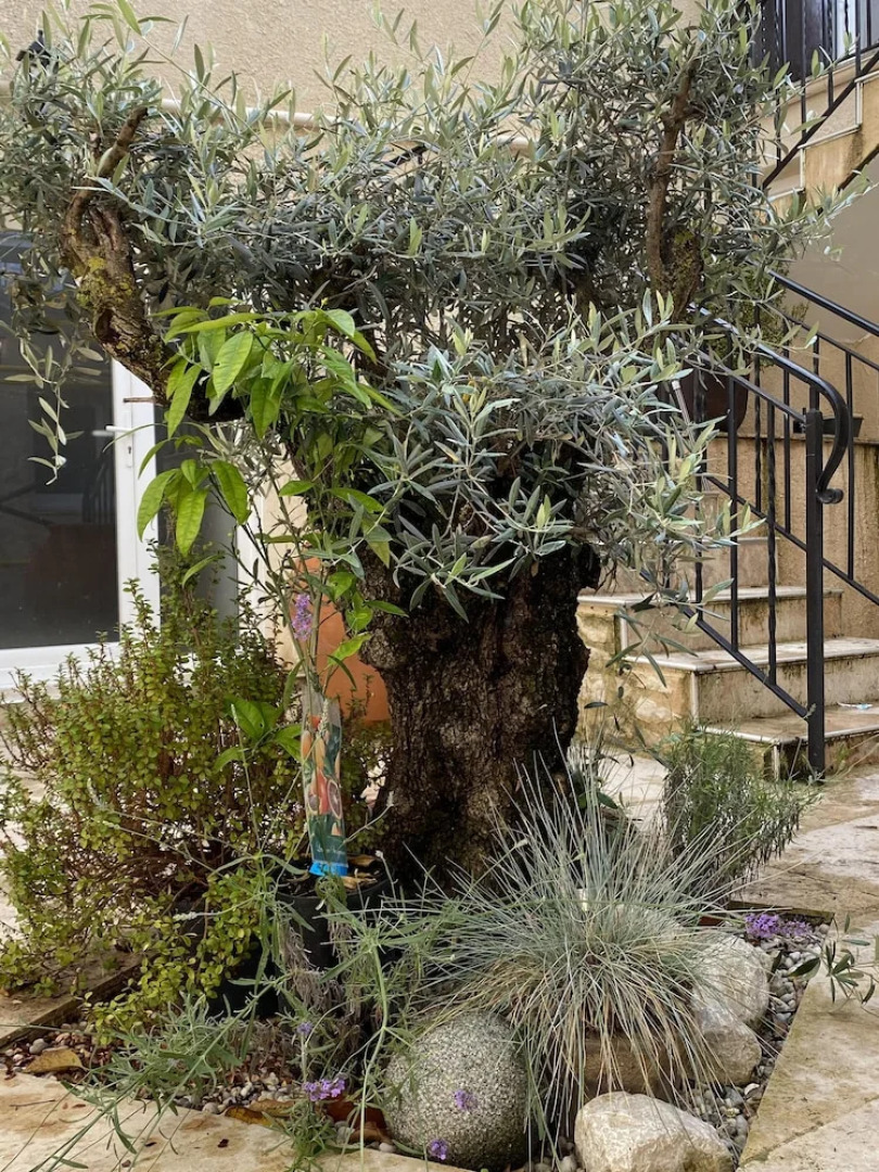 KIMOPASSION - L'Espace K