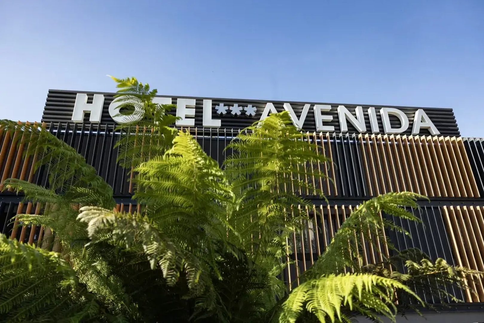 Hotel Avenida.