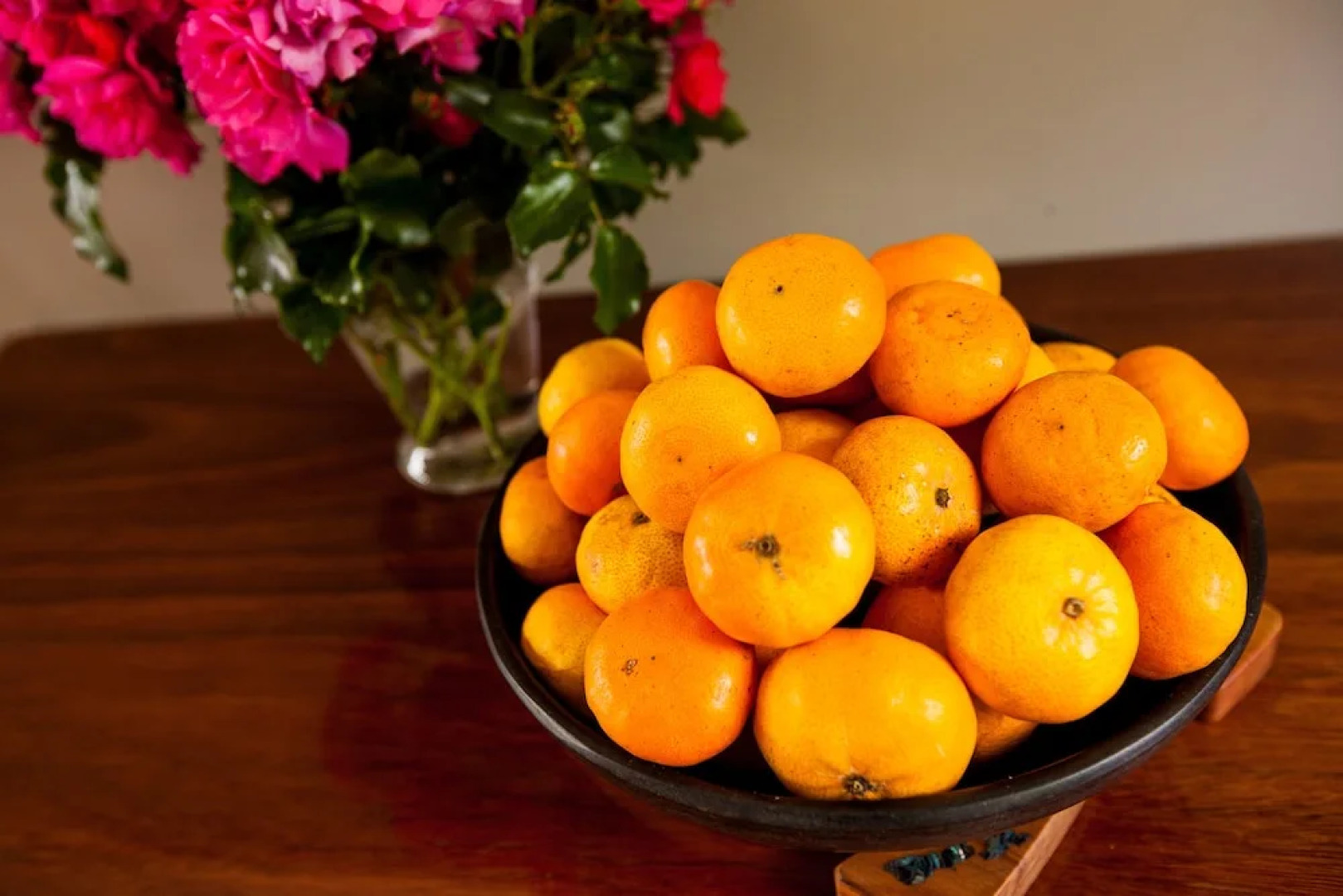 Kerikeri Farm Hostel