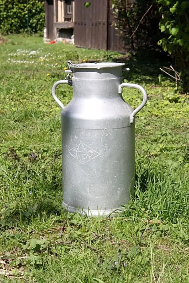 La Romance et la Romanesque