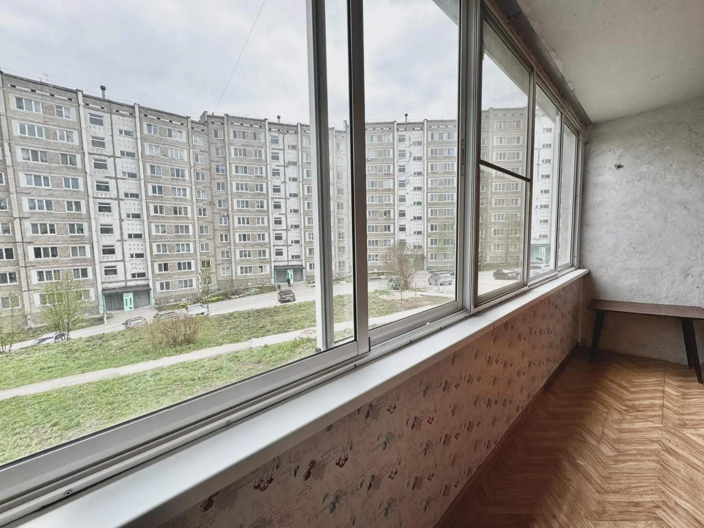 Барбарис на улице Мира 56