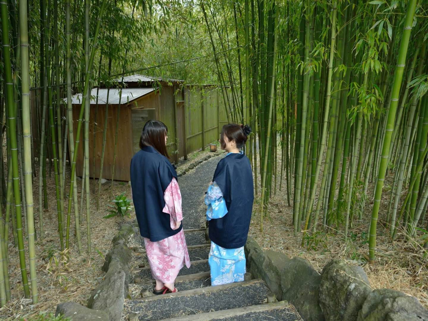 Narashino no sato Gyokusui -6 years or older-