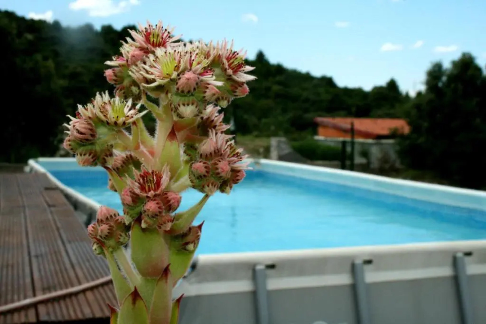 Holiday Home Rustica-Jessica