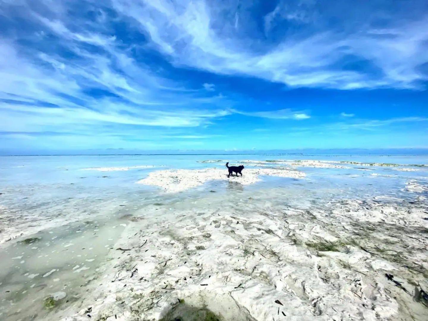 Villa Orchid Beach Guest House