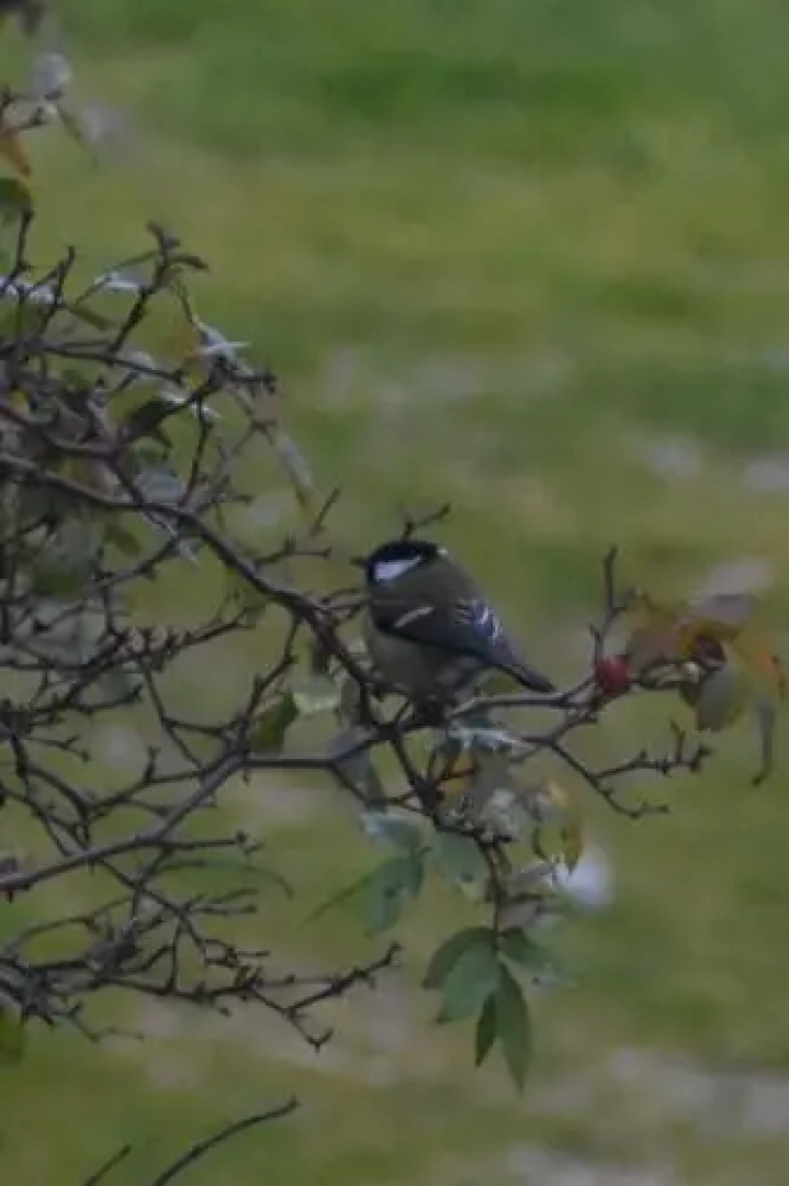 Quinta da Casa Velha Agroturismo