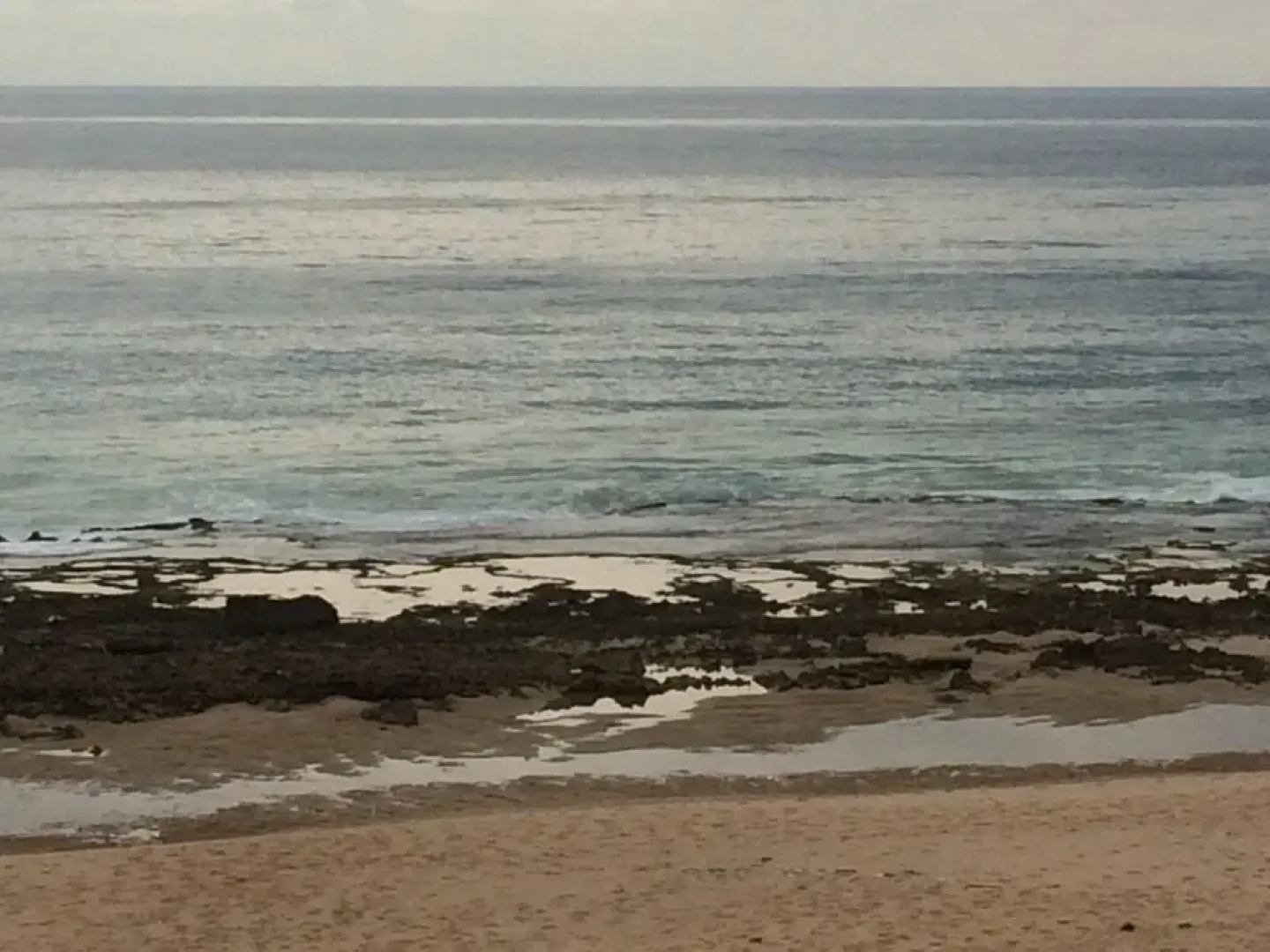Mango Beach Lodge