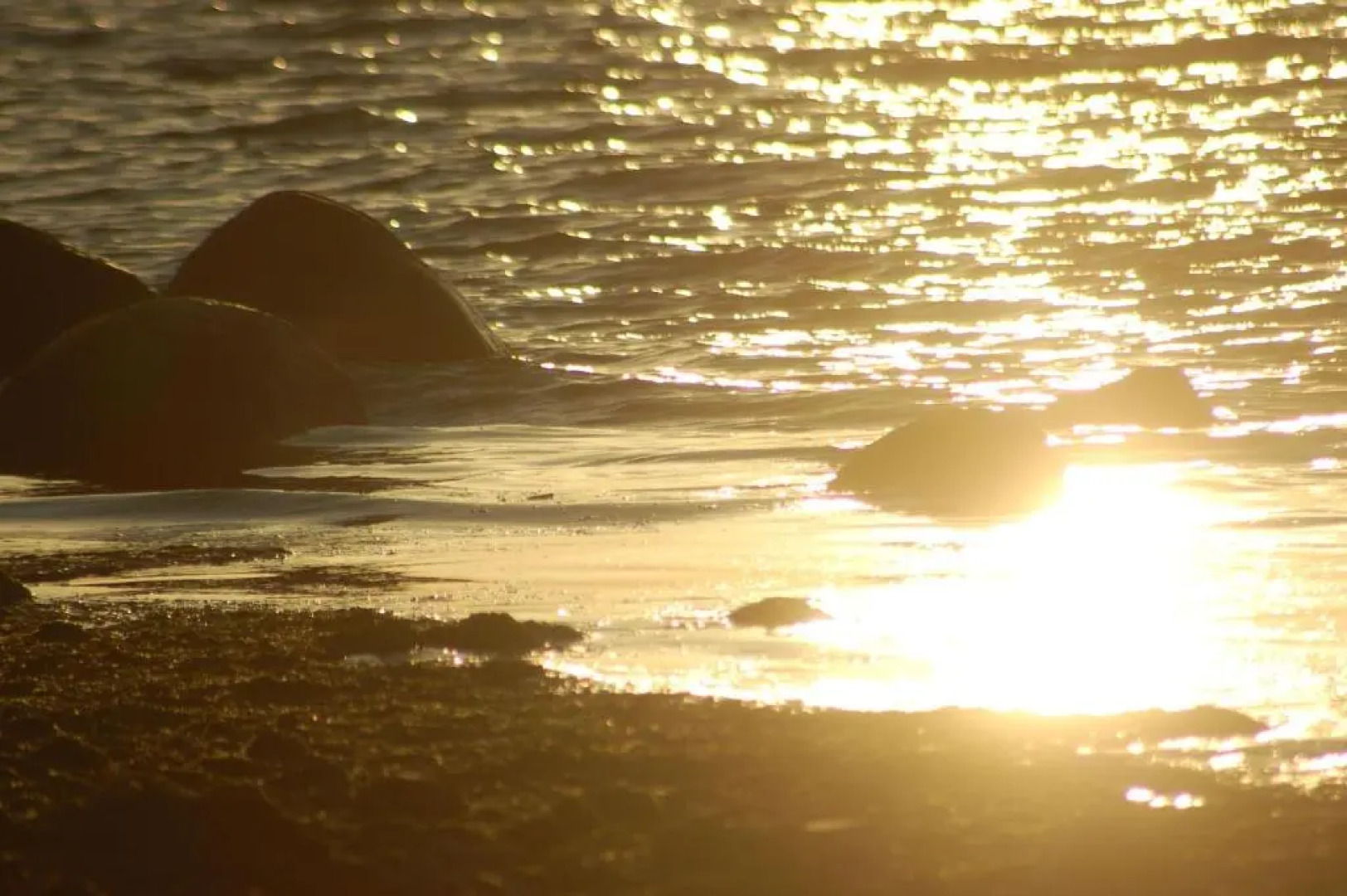 Ostsee-Ferienoase-3-Raum-App-Typ-1