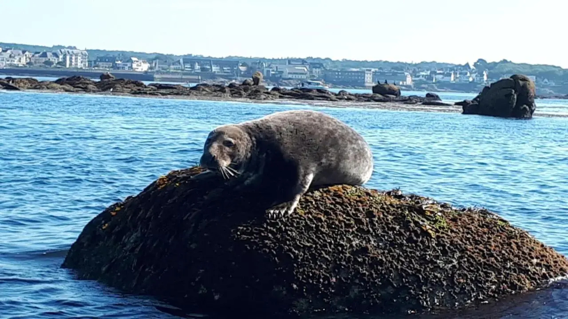 Studio face à la mer