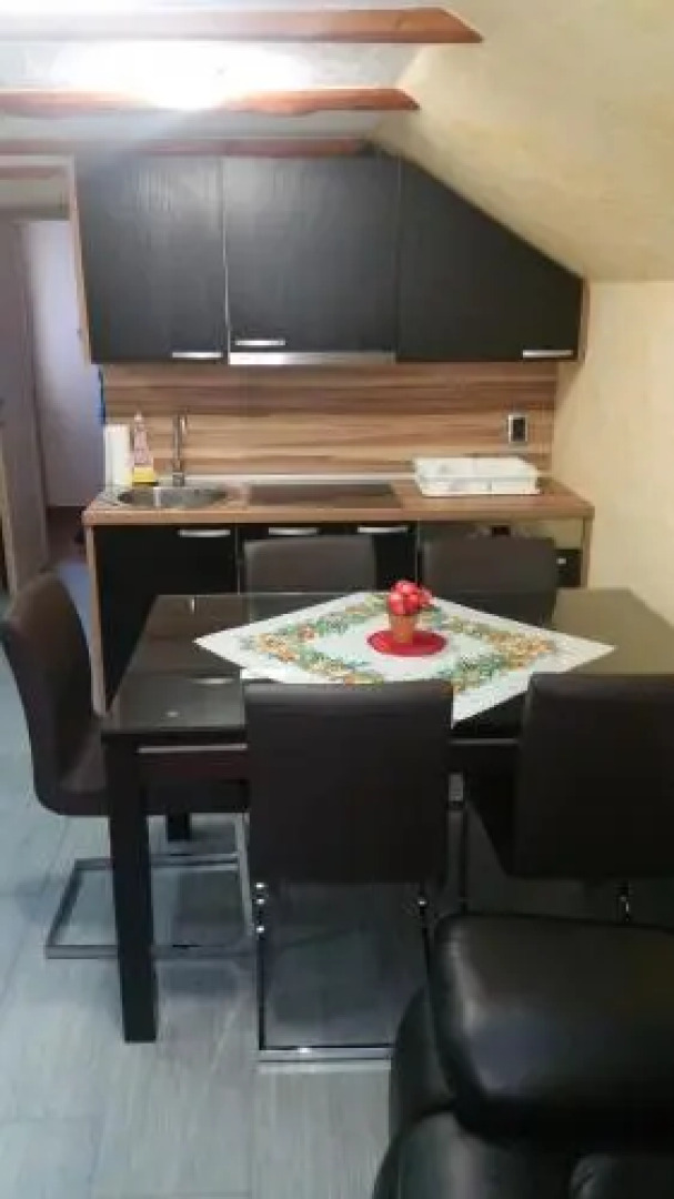 Apartment Borovnica Rogla