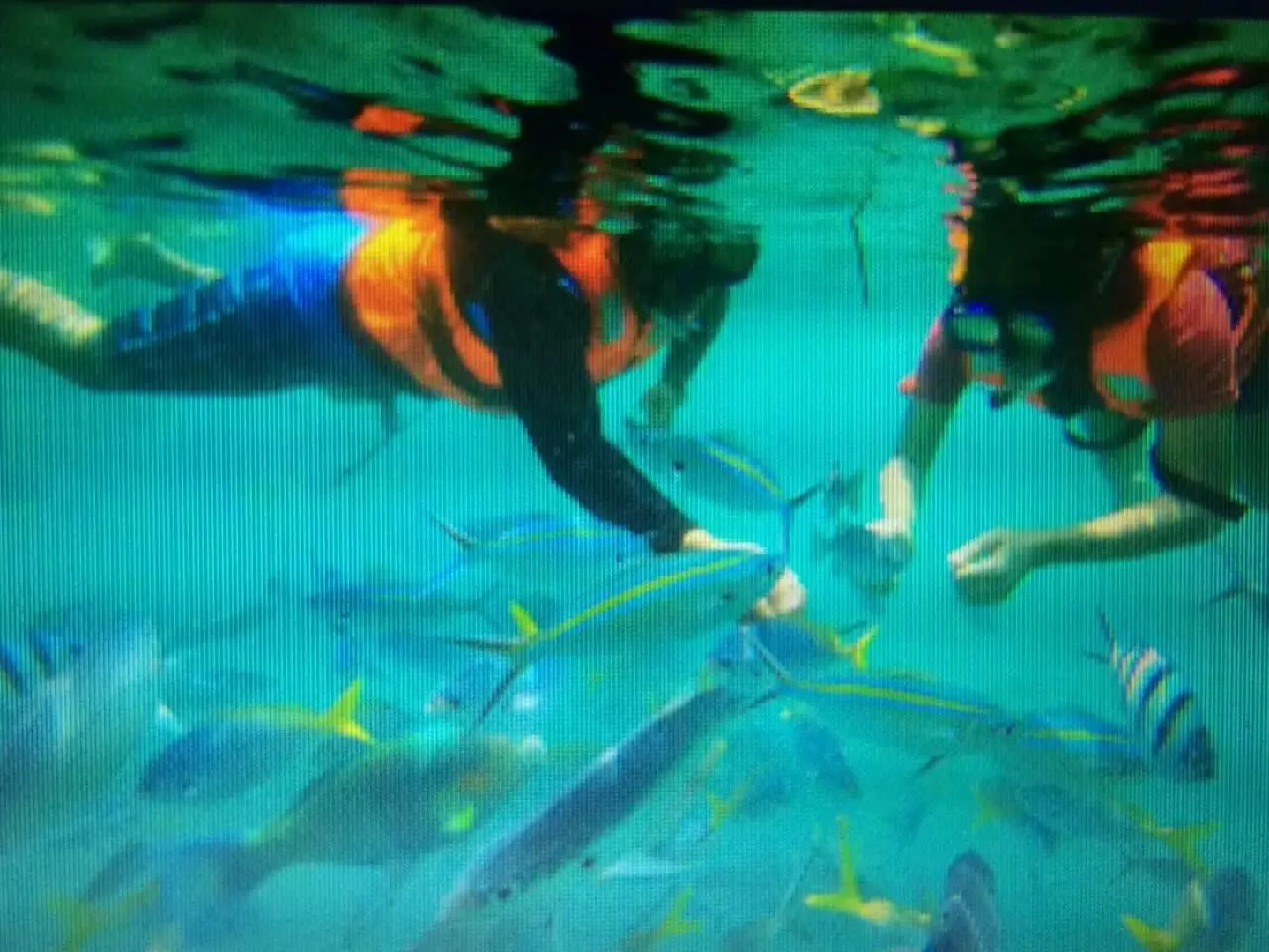 Marina Bay Resort & Restaurant Tioman