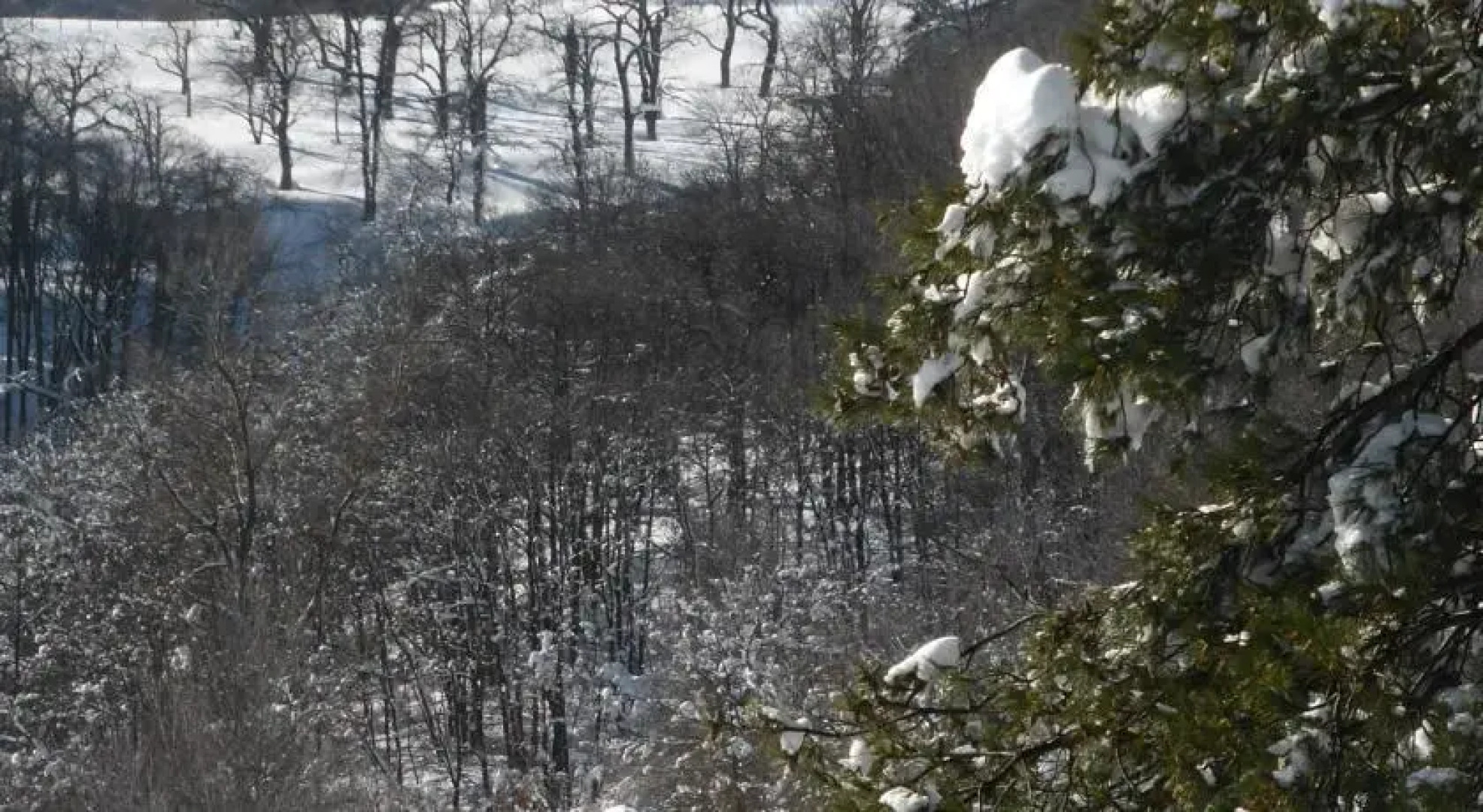 Cian del Mond Camping