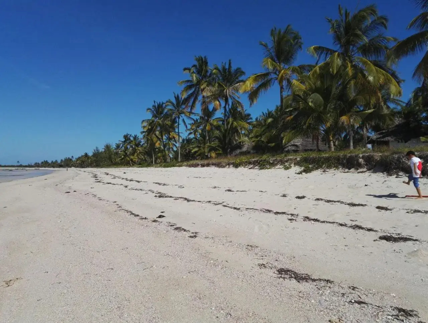 Kilwa Beach Lodge