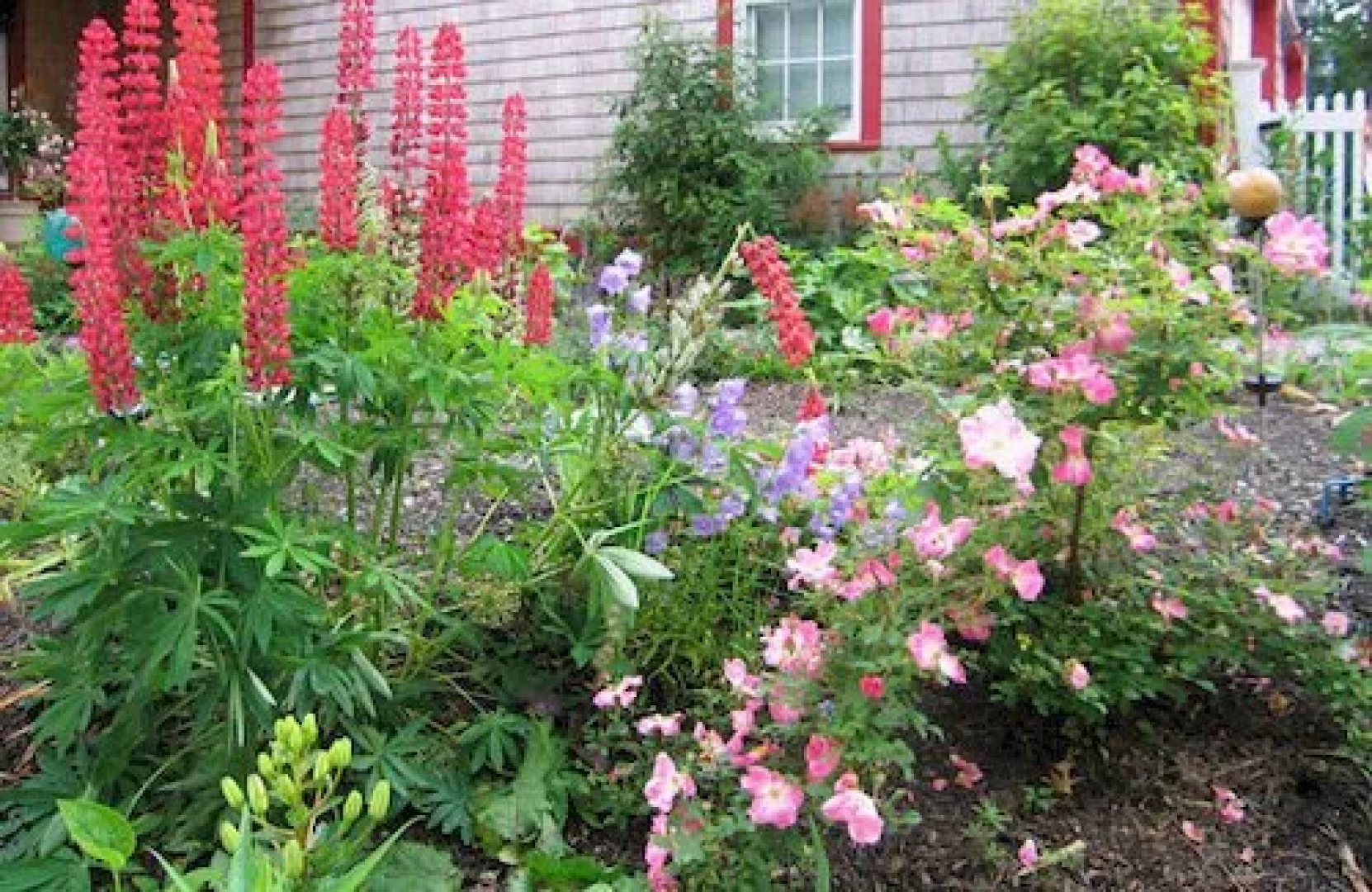 Alexander Hamilton House Cape Cod