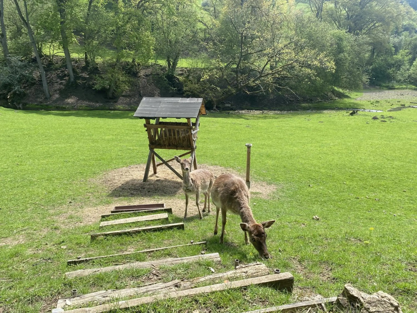 Künstlerhaus Rehblick