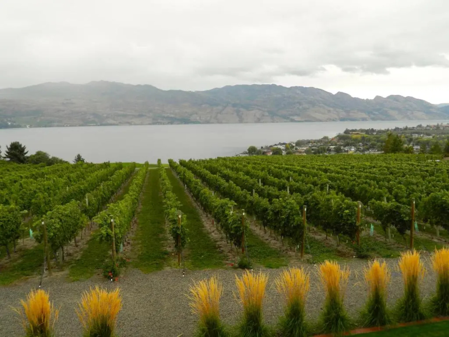 WineDownHere - Lic. 75806