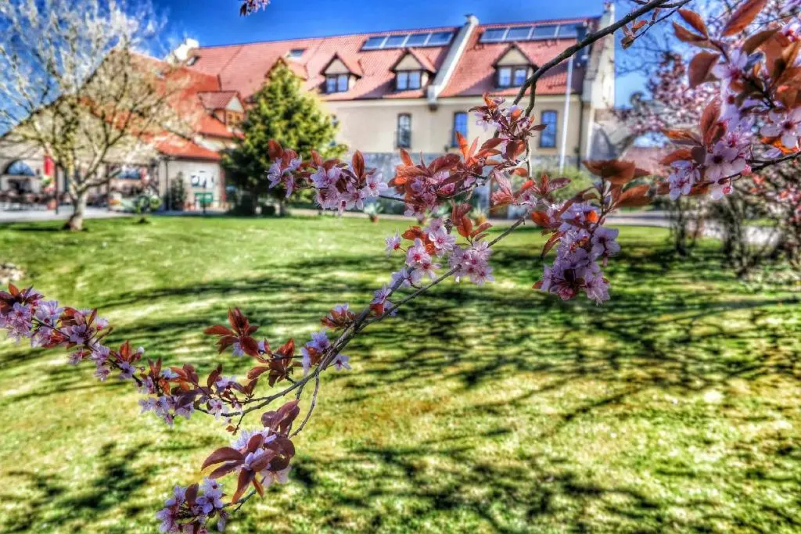 Hotel & Restaurant Rittergut